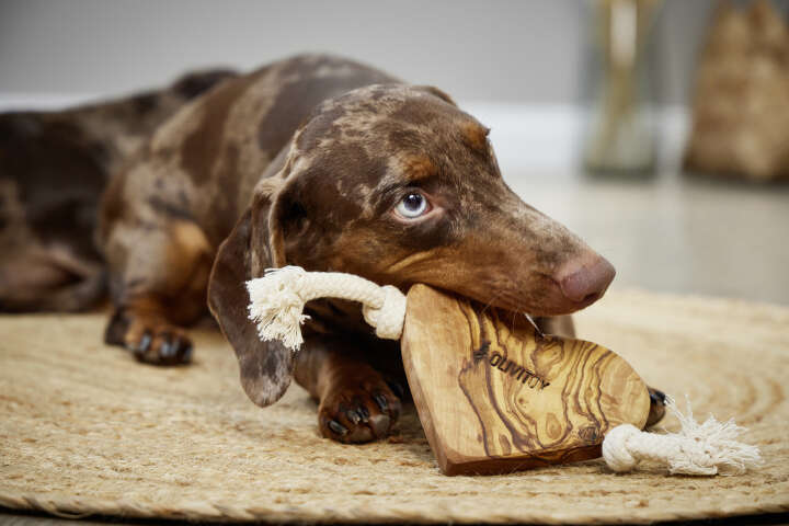 OLIVI DOG BONES Tau-Spielzeug Herz